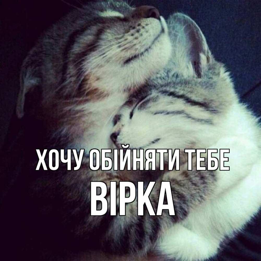 Открытка на каждый день з підписом, Вірка Хочу обійняти тебе полосатики Прикольна листівка з побажанням онлайн скачати безкоштовно 