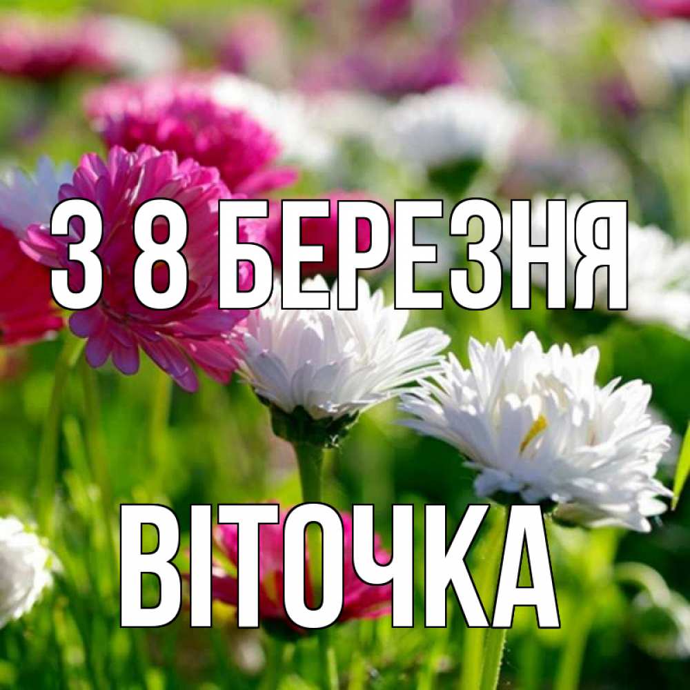 Открытка на каждый день з підписом, Віточка З 8 БЕРЕЗНЯ международный женский день 1 Прикольна листівка з побажанням онлайн скачати безкоштовно 