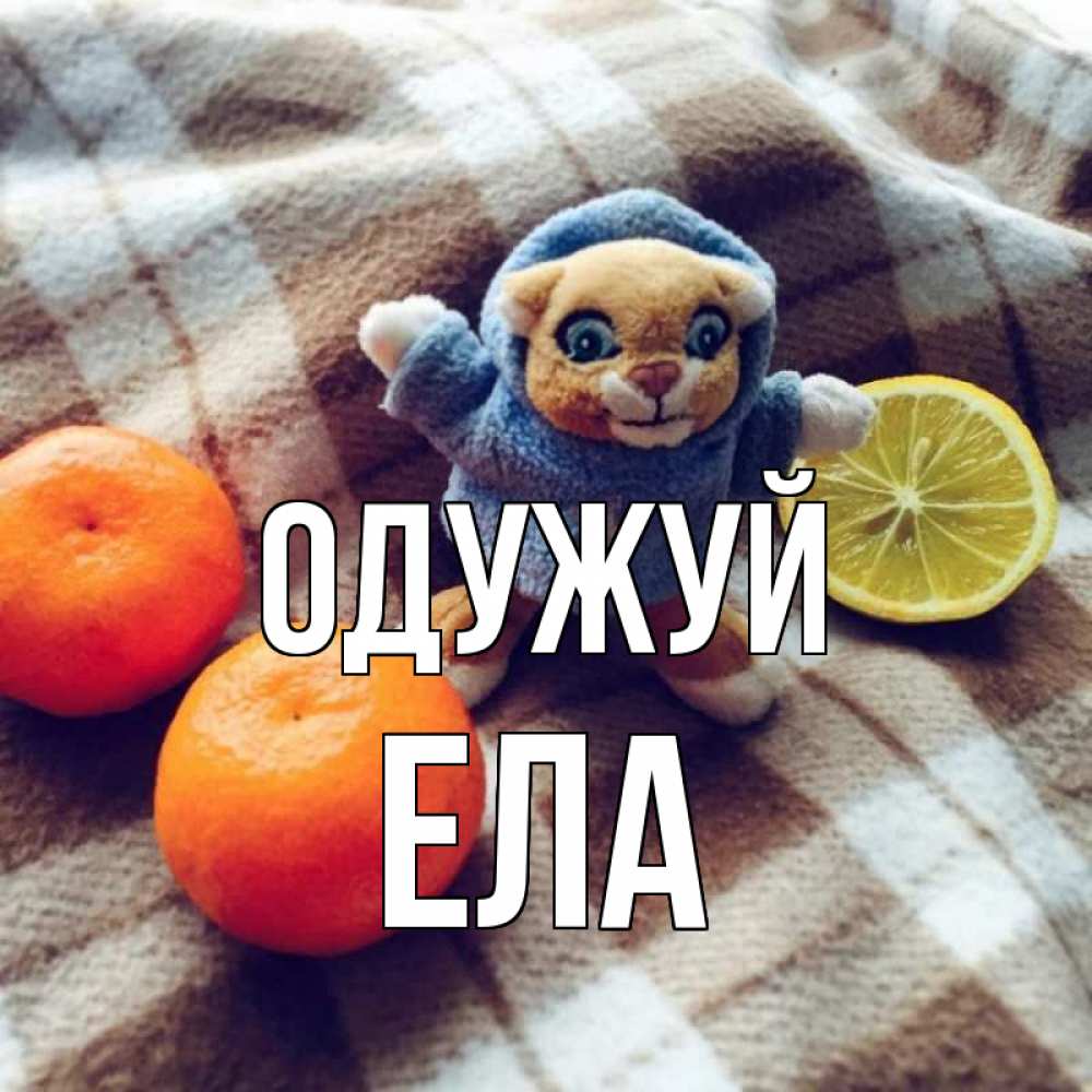 Открытка на каждый день з підписом, Ела Одужуй вот тебе апельсинка и лимон Прикольна листівка з побажанням онлайн скачати безкоштовно 
