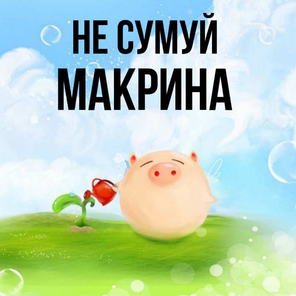 Открытка на каждый день з підписом, Макрина Не сумуй поливает цветок порося Прикольна листівка з побажанням онлайн скачати безкоштовно 