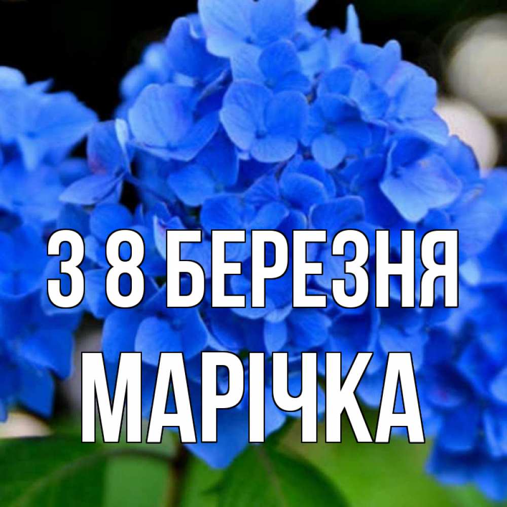 Открытка на каждый день з підписом, Марічка З 8 БЕРЕЗНЯ синие цветы Прикольна листівка з побажанням онлайн скачати безкоштовно 