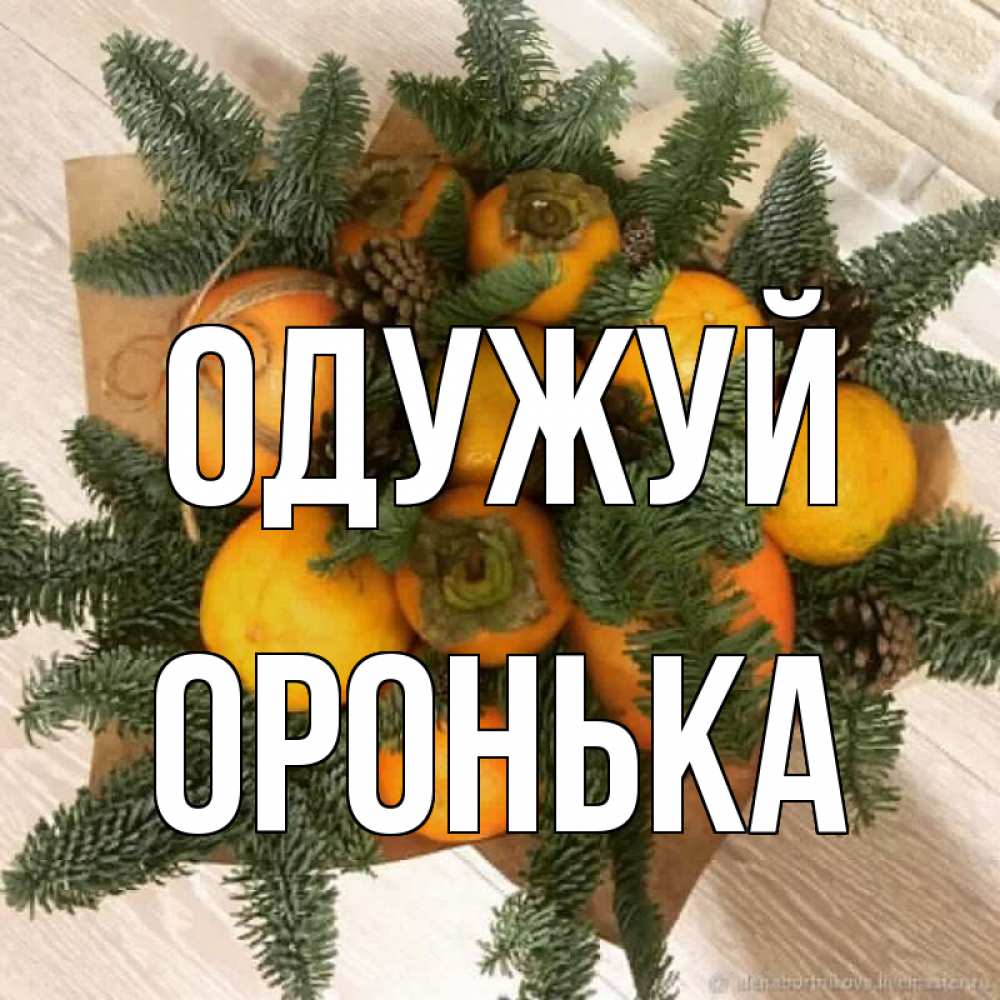 Открытка на каждый день з підписом, Оронька Одужуй апельсины и хурьма Прикольна листівка з побажанням онлайн скачати безкоштовно 