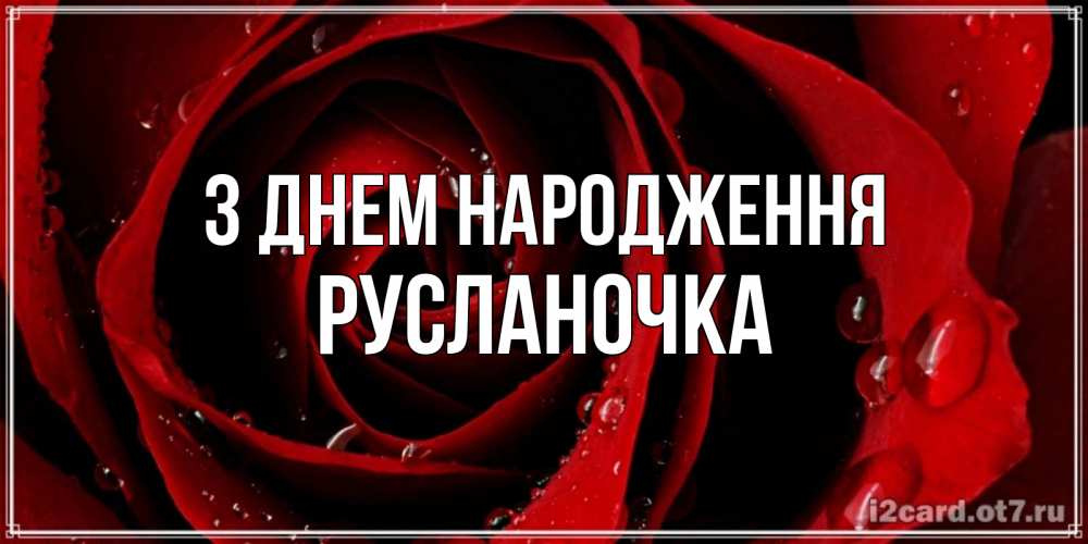 Открытка на каждый день з підписом, Русланочка З Днем народження крупная бордовая роза Прикольна листівка з побажанням онлайн скачати безкоштовно 