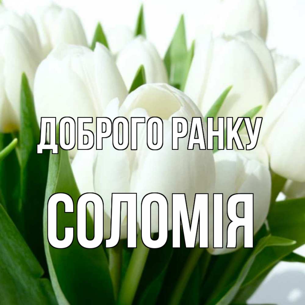 Открытка на каждый день з підписом, Соломія Доброго ранку открытки на каждый день по именам Прикольна листівка з побажанням онлайн скачати безкоштовно 