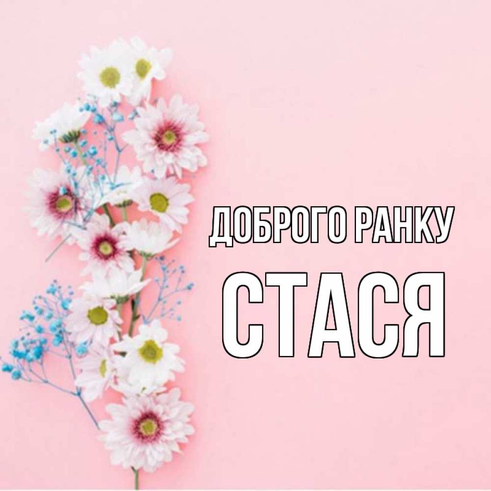 Открытка на каждый день з підписом, Стася Доброго ранку цветы с подписью Прикольна листівка з побажанням онлайн скачати безкоштовно 