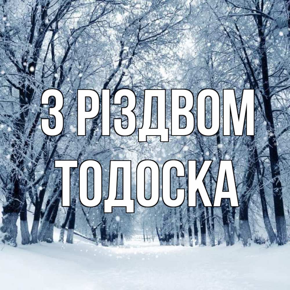 Открытка на каждый день з підписом, Тодоска З Різдвом снег, лес, парк Прикольна листівка з побажанням онлайн скачати безкоштовно 