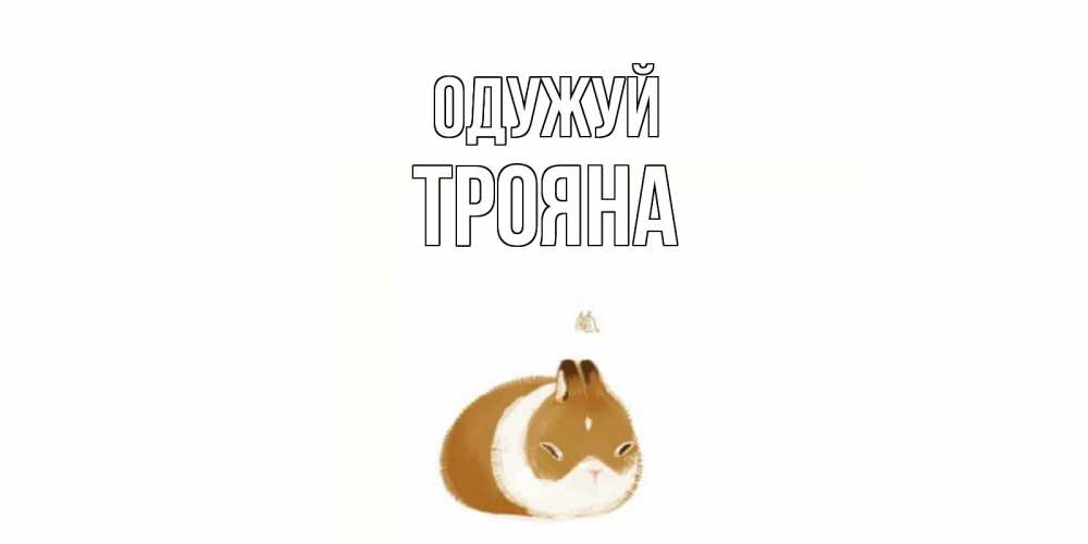 Открытка на каждый день з підписом, Трояна Одужуй морская свинка на открытке с пожеланиями не болеть Прикольна листівка з побажанням онлайн скачати безкоштовно 