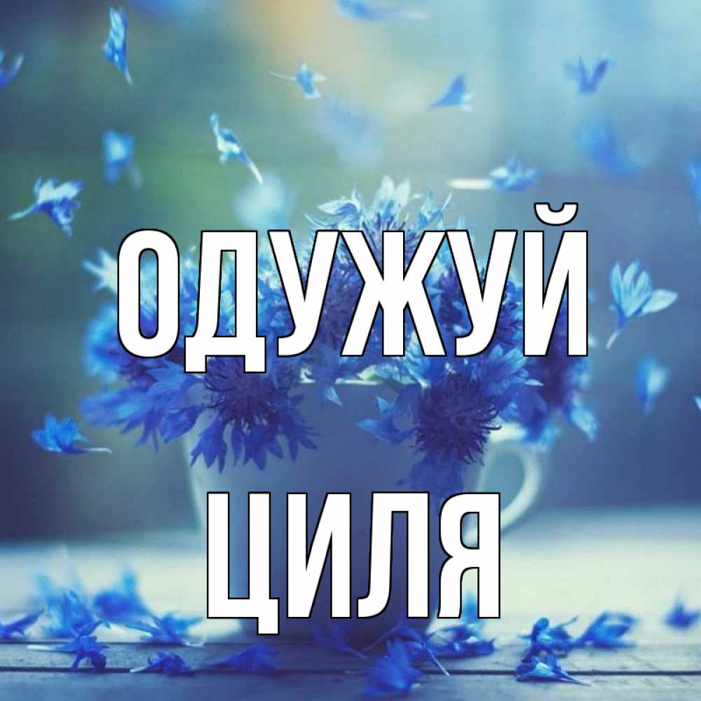 Открытка на каждый день з підписом, Циля Одужуй кружка с зельем и цветами Прикольна листівка з побажанням онлайн скачати безкоштовно 