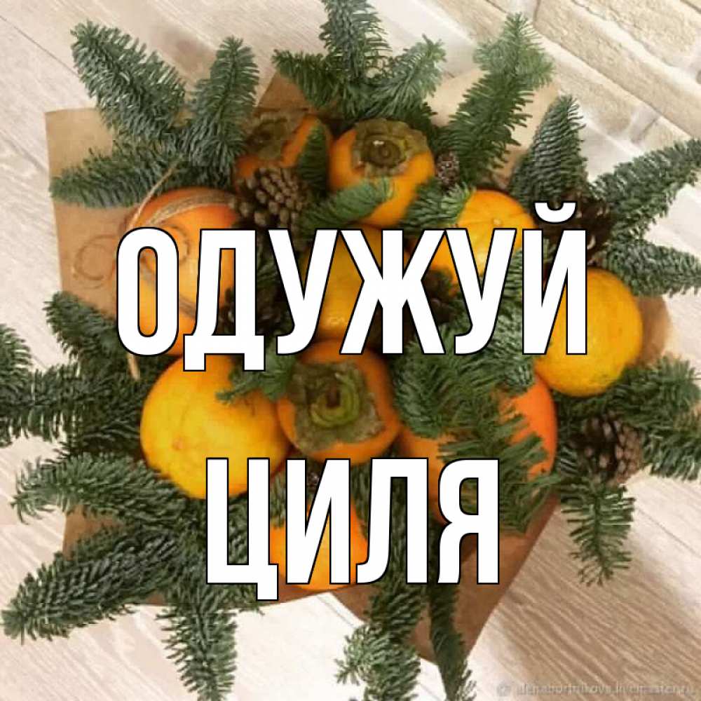 Открытка на каждый день з підписом, Циля Одужуй апельсины и хурьма Прикольна листівка з побажанням онлайн скачати безкоштовно 