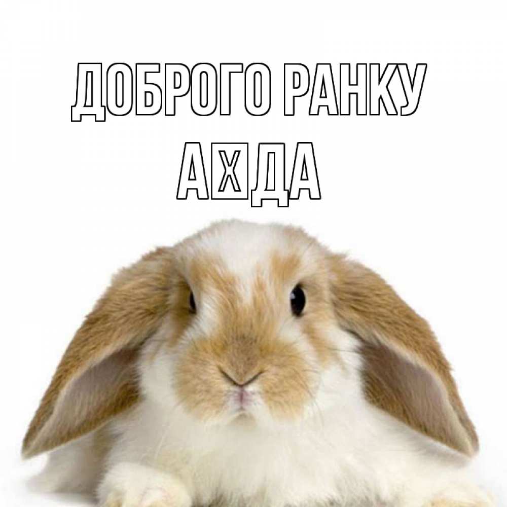 Открытка на каждый день з підписом, Аїда Доброго ранку прикольные открытки на каждый день Прикольна листівка з побажанням онлайн скачати безкоштовно 