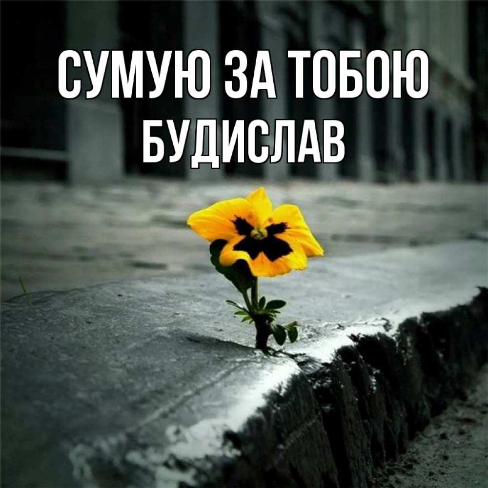 Открытка на каждый день з підписом, Будислав Сумую за тобою надеюсь будет лучше Прикольна листівка з побажанням онлайн скачати безкоштовно 