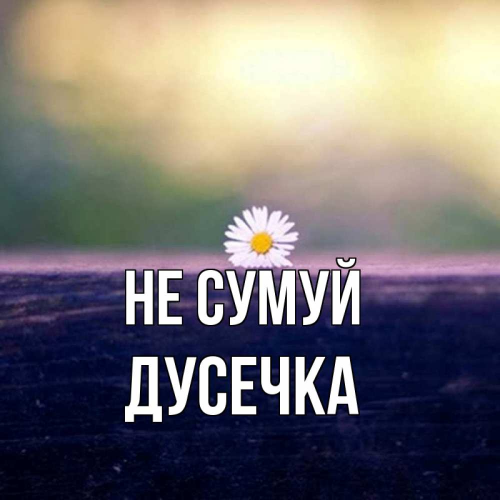 Открытка на каждый день з підписом, Дусечка Не сумуй красота Прикольна листівка з побажанням онлайн скачати безкоштовно 
