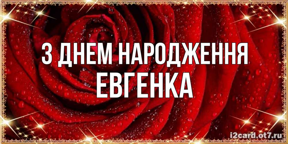 Открытка на каждый день з підписом, Евгенка З Днем народження роса на розе блестящая в лучах солнца Прикольна листівка з побажанням онлайн скачати безкоштовно 