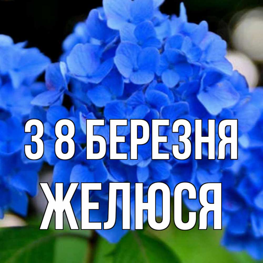 Открытка на каждый день з підписом, Желюся З 8 БЕРЕЗНЯ синие цветы Прикольна листівка з побажанням онлайн скачати безкоштовно 