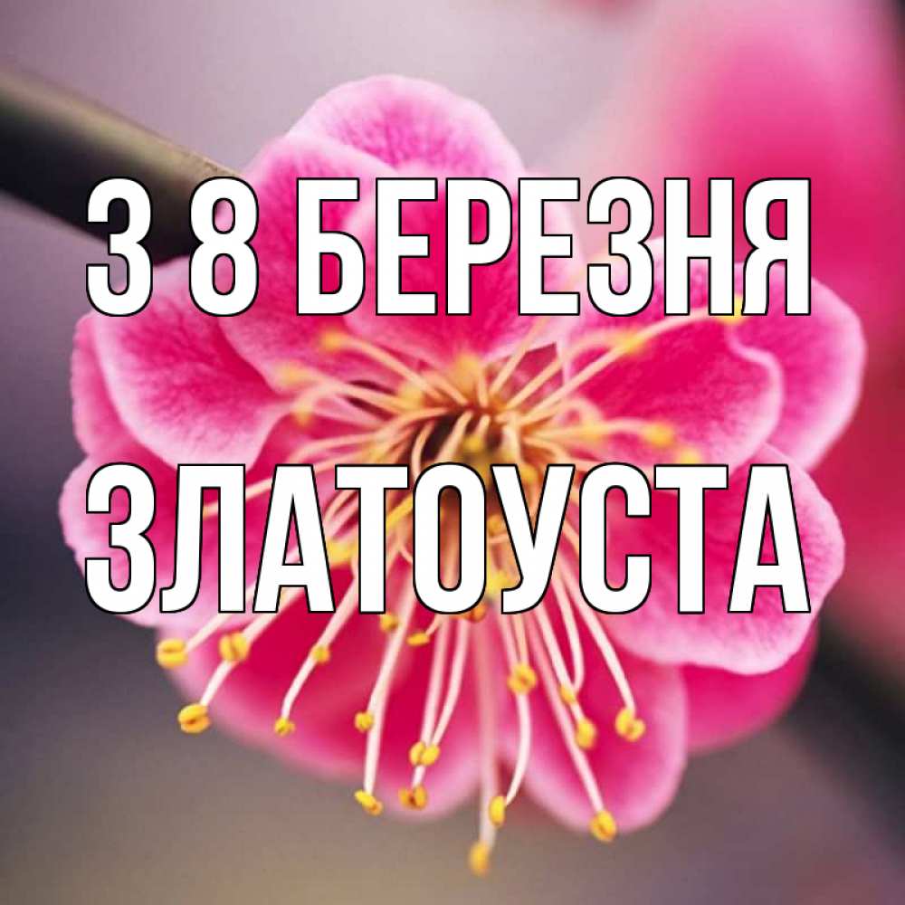 Открытка на каждый день з підписом, Златоуста З 8 БЕРЕЗНЯ цветы Прикольна листівка з побажанням онлайн скачати безкоштовно 