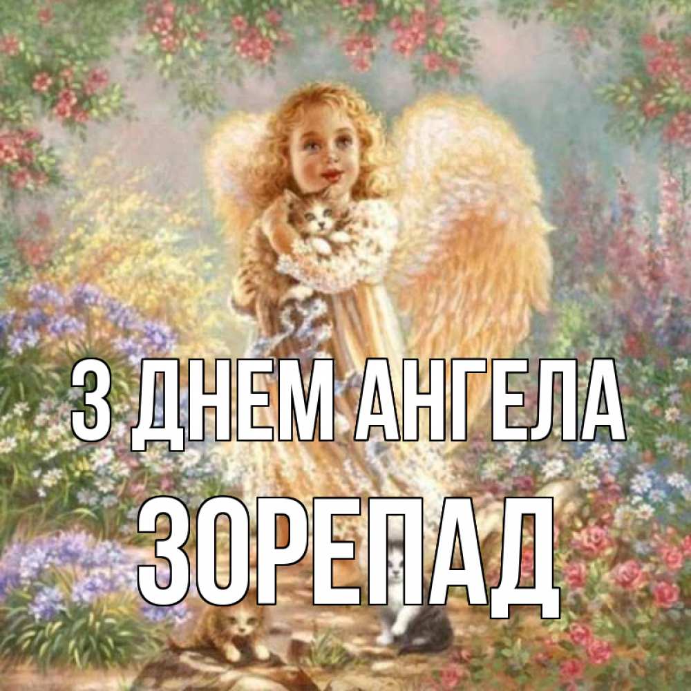 Открытка на каждый день з підписом, Зорепад З Днем ангела держит котенка Прикольна листівка з побажанням онлайн скачати безкоштовно 