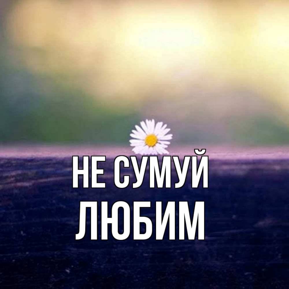 Открытка на каждый день з підписом, Любим Не сумуй красота Прикольна листівка з побажанням онлайн скачати безкоштовно 
