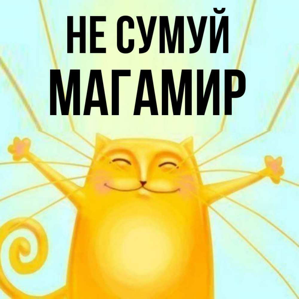 Открытка на каждый день з підписом, Магамир Не сумуй обнимашки усатые Прикольна листівка з побажанням онлайн скачати безкоштовно 