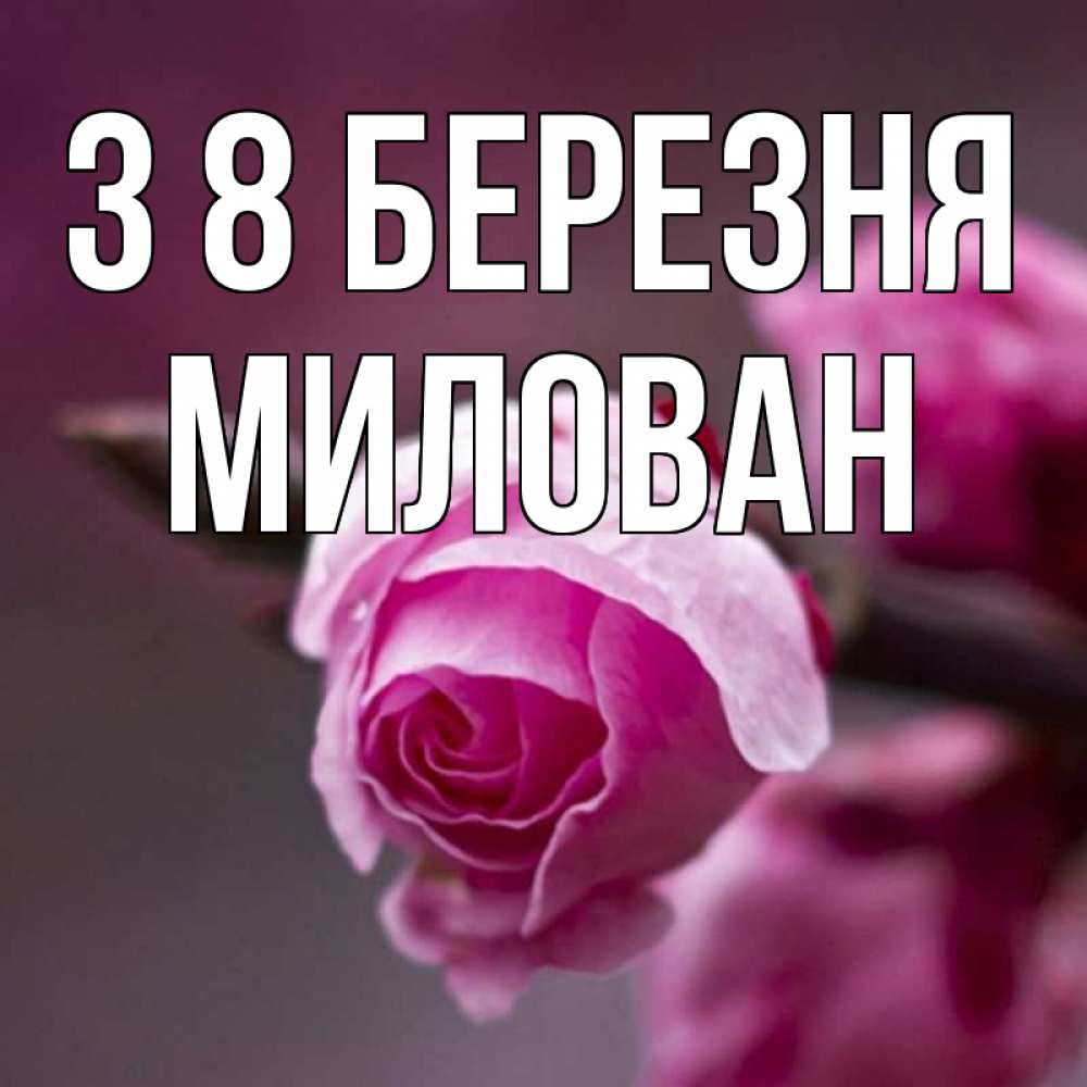 Открытка на каждый день з підписом, Милован З 8 БЕРЕЗНЯ весна Прикольна листівка з побажанням онлайн скачати безкоштовно 