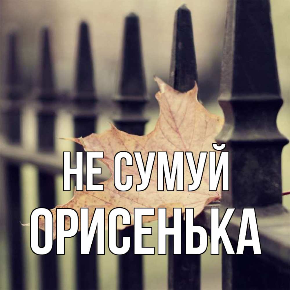 Открытка на каждый день з підписом, Орисенька Не сумуй лист клена Прикольна листівка з побажанням онлайн скачати безкоштовно 