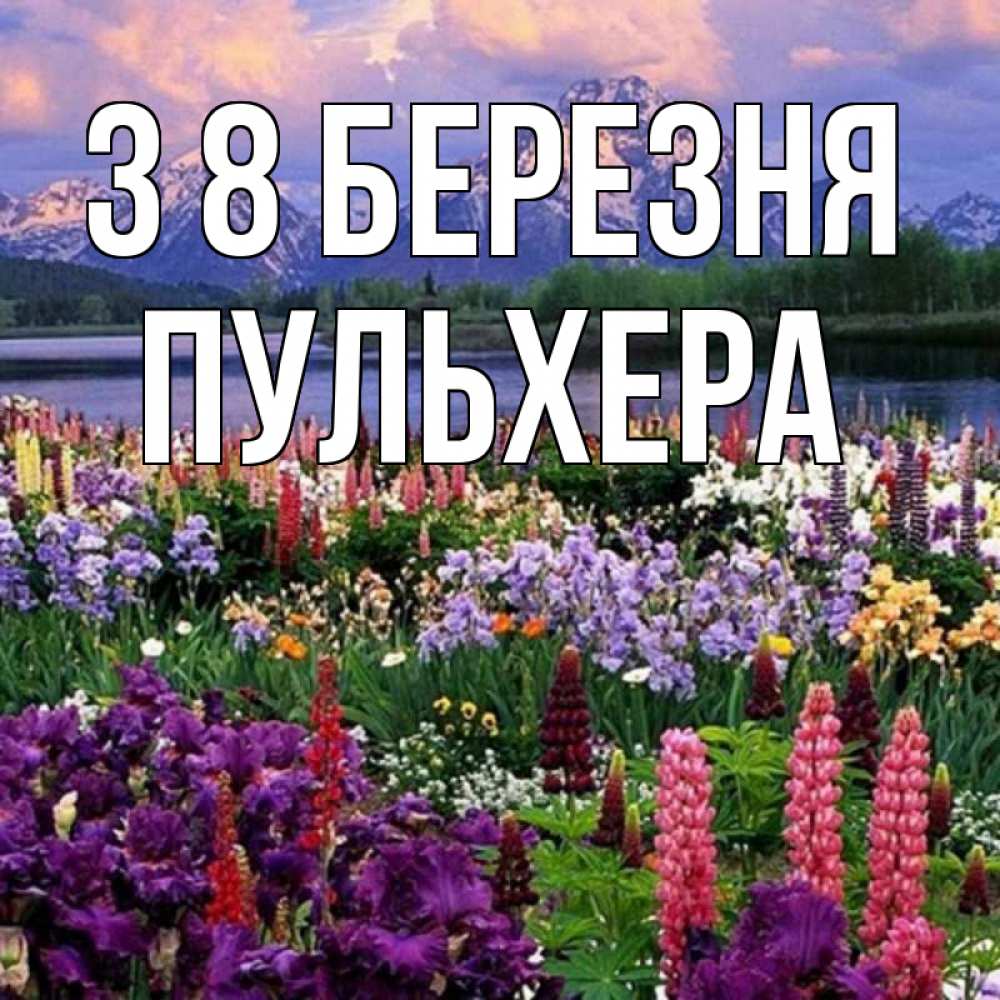 Открытка на каждый день з підписом, Пульхера З 8 БЕРЕЗНЯ международный женский день Прикольна листівка з побажанням онлайн скачати безкоштовно 