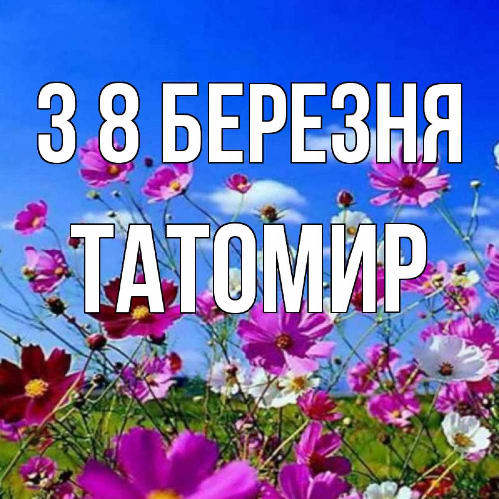 Открытка на каждый день з підписом, Татомир З 8 БЕРЕЗНЯ цветы Прикольна листівка з побажанням онлайн скачати безкоштовно 