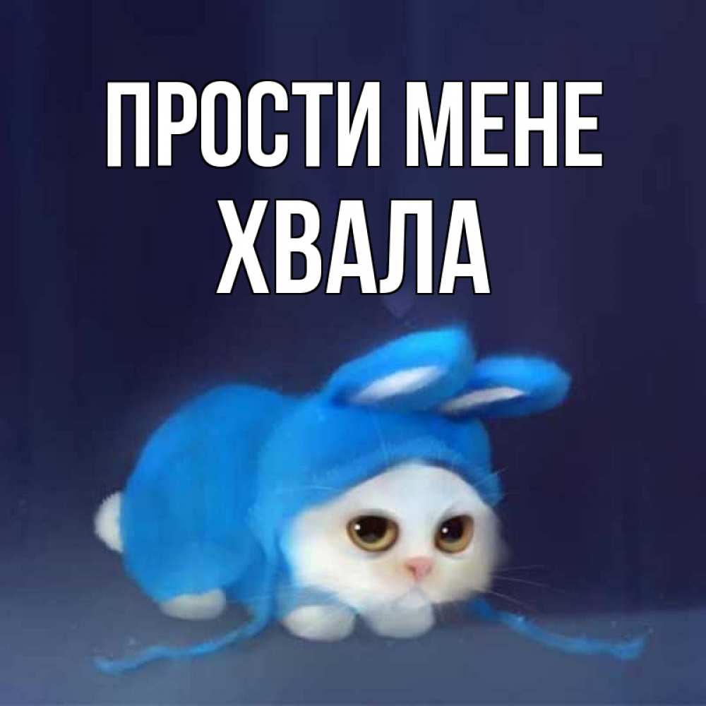 Открытка на каждый день з підписом, Хвала Прости мене невинный котозай просит прощения Прикольна листівка з побажанням онлайн скачати безкоштовно 