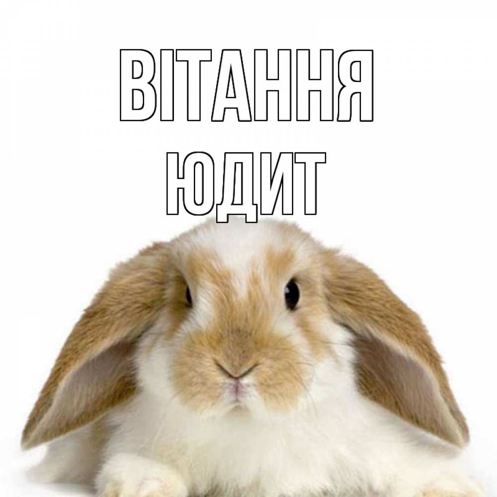 Открытка на каждый день з підписом, Юдит Вітання с животными Прикольна листівка з побажанням онлайн скачати безкоштовно 