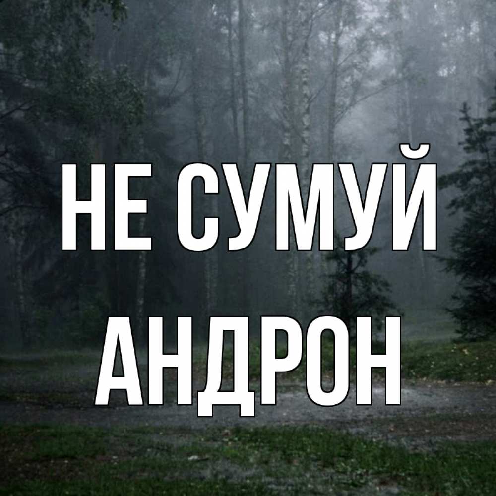 Открытка на каждый день з підписом, Андрон Не сумуй осень Прикольна листівка з побажанням онлайн скачати безкоштовно 