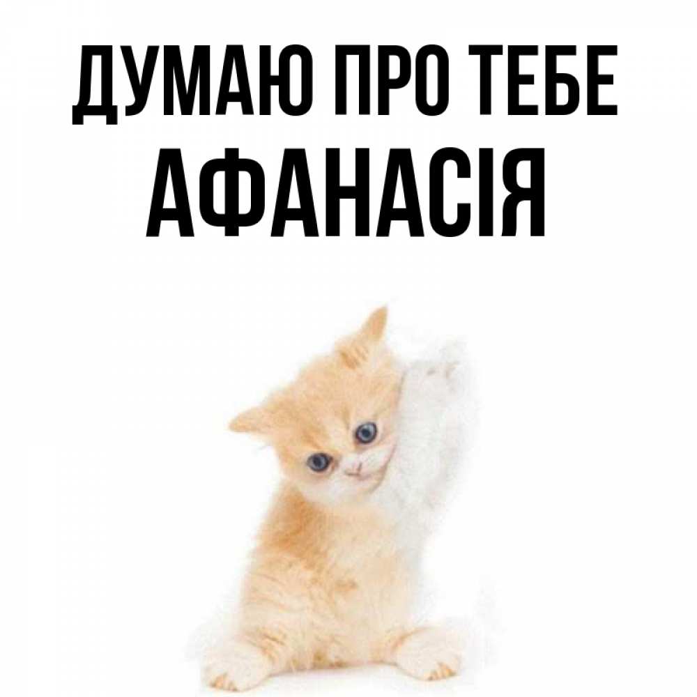Открытка на каждый день з підписом, Афанасія Думаю про тебе зверушки и милота Прикольна листівка з побажанням онлайн скачати безкоштовно 