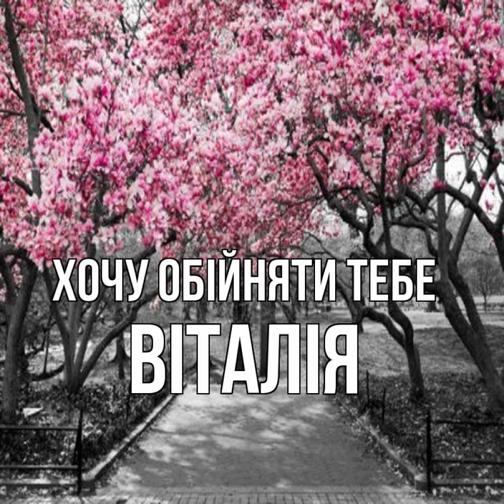 Открытка на каждый день з підписом, Віталія Хочу обійняти тебе обработанное фото Прикольна листівка з побажанням онлайн скачати безкоштовно 