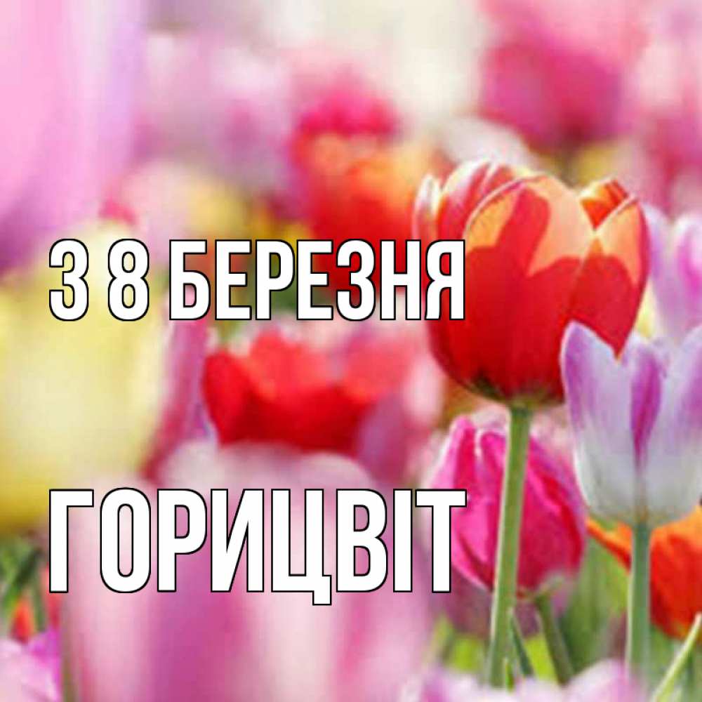 Открытка на каждый день з підписом, Горицвіт З 8 БЕРЕЗНЯ на международный женский день 2 Прикольна листівка з побажанням онлайн скачати безкоштовно 