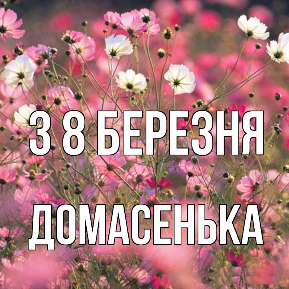 Открытка на каждый день з підписом, Домасенька З 8 БЕРЕЗНЯ красиво 1 Прикольна листівка з побажанням онлайн скачати безкоштовно 