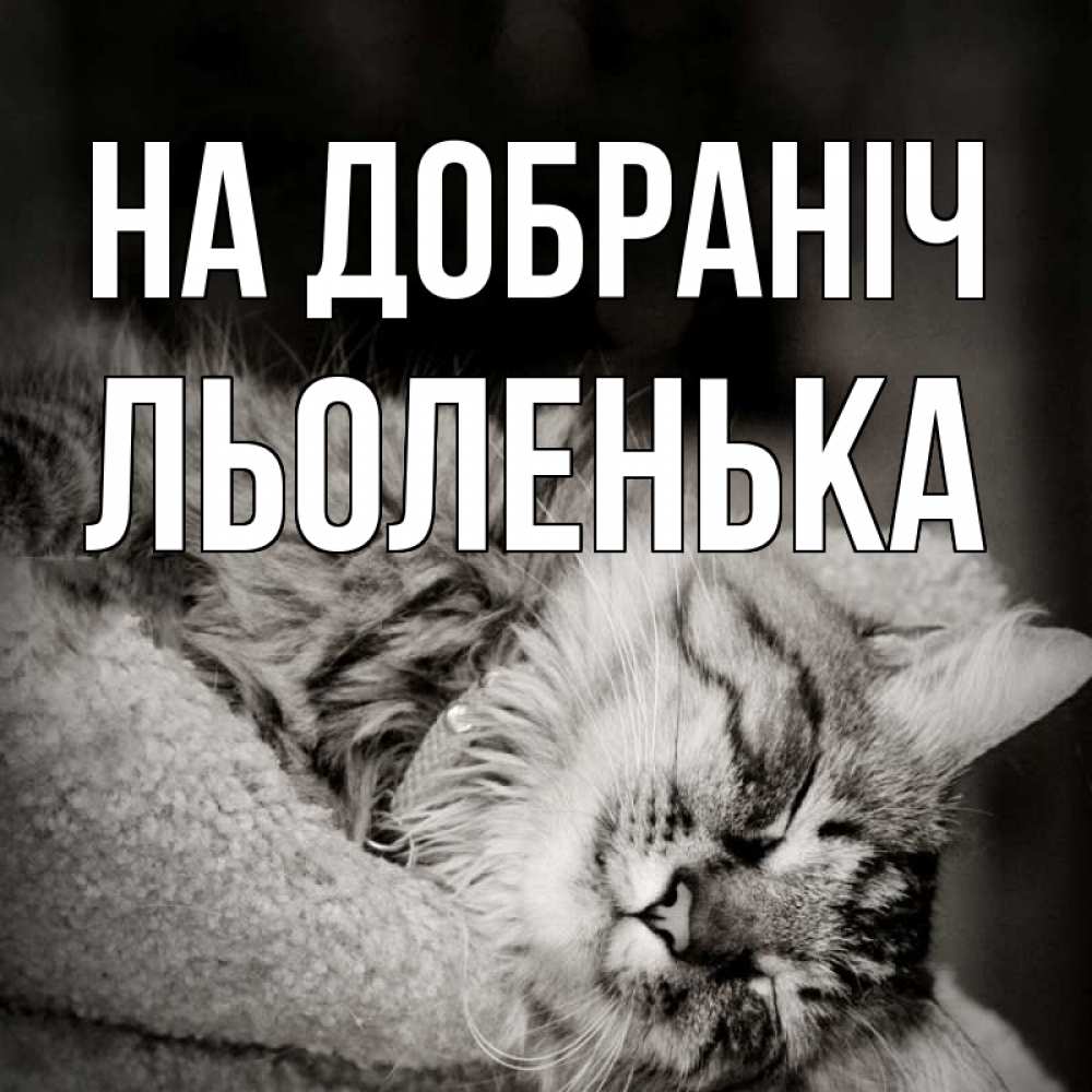 Открытка на каждый день з підписом, Льоленька На добраніч котярик пушистый Прикольна листівка з побажанням онлайн скачати безкоштовно 