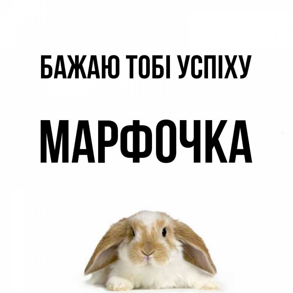 Открытка на каждый день з підписом, Марфочка Бажаю тобі успіху открытки с произвольным текстом который можно вставить в открытку и создать ее самостоятельно бесплатно онлайн Прикольна листівка з побажанням онлайн скачати безкоштовно 