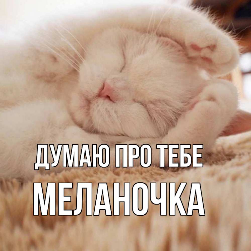Открытка на каждый день з підписом, Меланочка Думаю про тебе для любимой девушки милота Прикольна листівка з побажанням онлайн скачати безкоштовно 