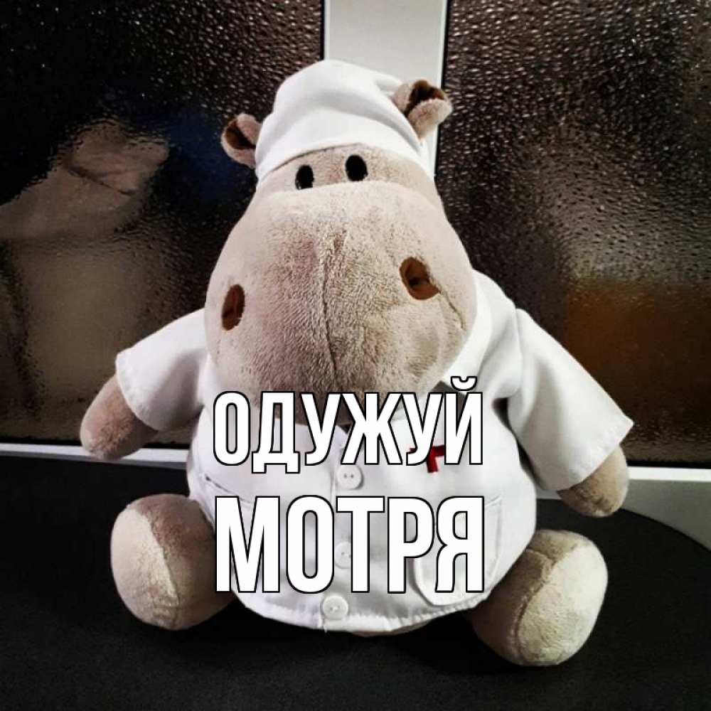 Открытка на каждый день з підписом, Мотря Одужуй всех излечит исцелит Прикольна листівка з побажанням онлайн скачати безкоштовно 