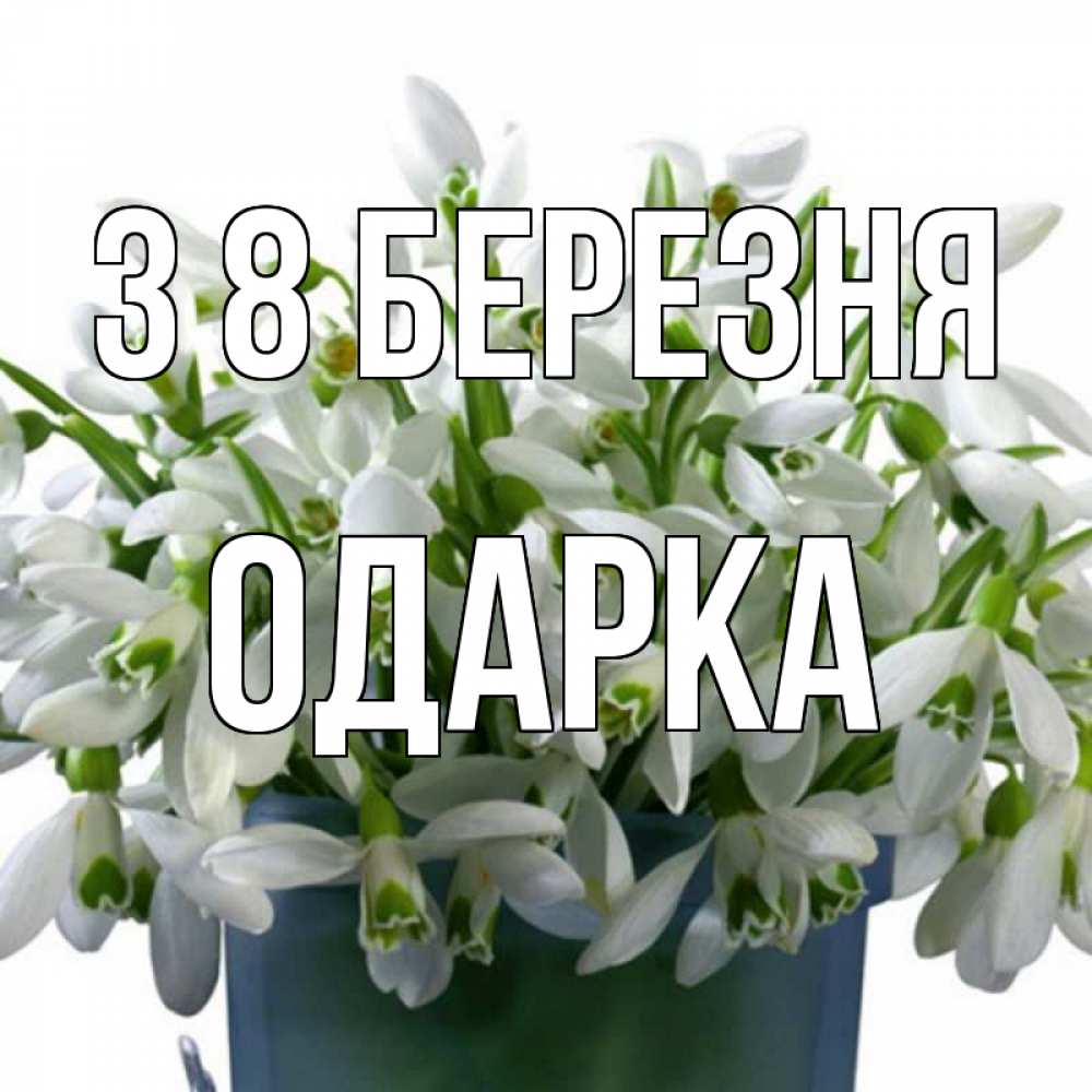 Открытка на каждый день з підписом, Одарка З 8 БЕРЕЗНЯ цветы к международному женскому дню Прикольна листівка з побажанням онлайн скачати безкоштовно 