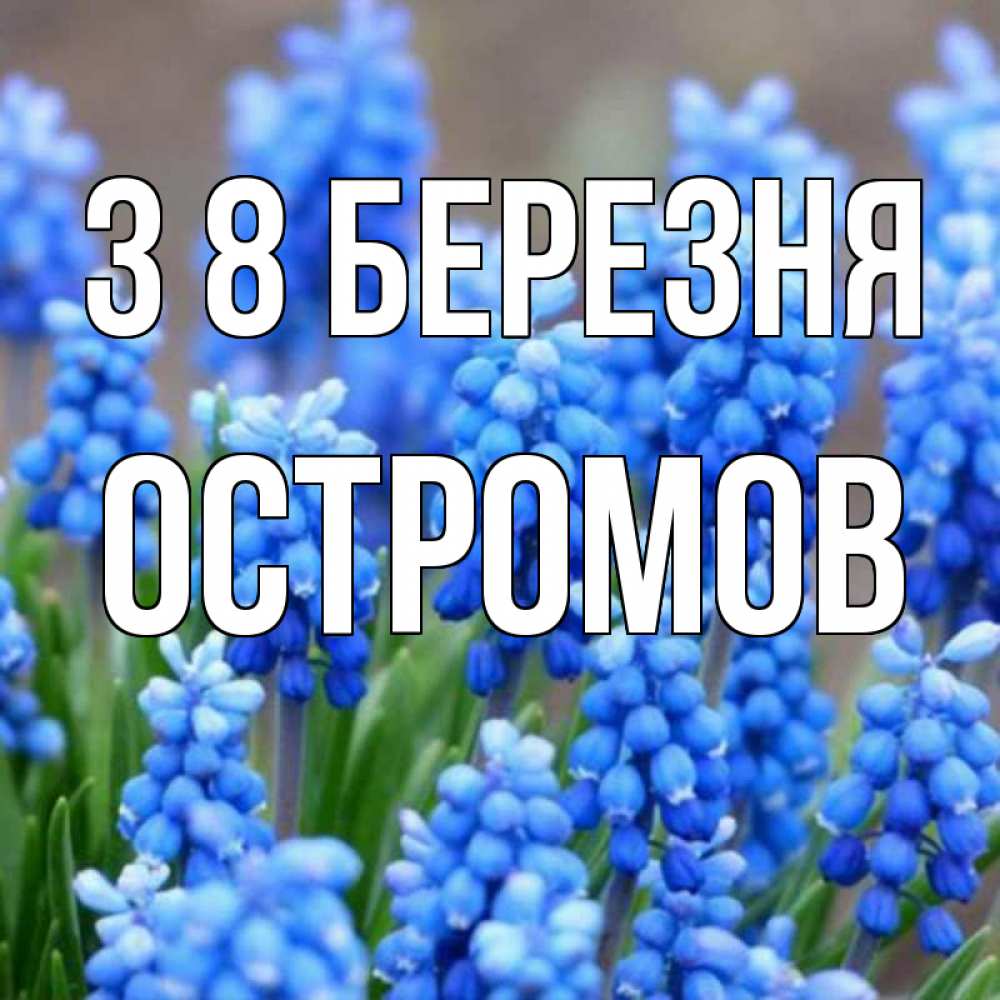 Открытка на каждый день з підписом, Остромов З 8 БЕРЕЗНЯ Поздравительная открытка для женщин с цветами на праздничную дату Прикольна листівка з побажанням онлайн скачати безкоштовно 