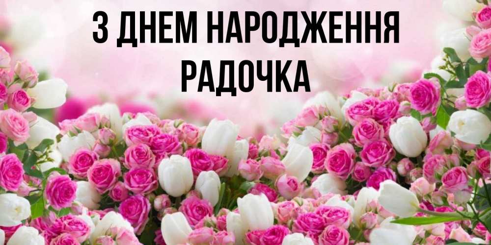 Открытка на каждый день з підписом, Радочка З Днем народження открытка с разными розами Прикольна листівка з побажанням онлайн скачати безкоштовно 