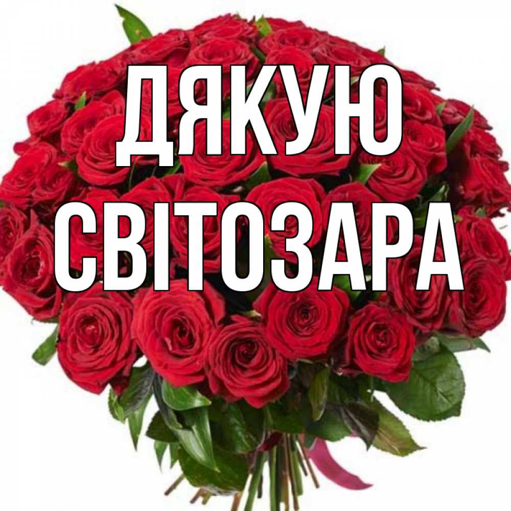 Открытка на каждый день з підписом, Світозара Дякую букет красных роз Прикольна листівка з побажанням онлайн скачати безкоштовно 