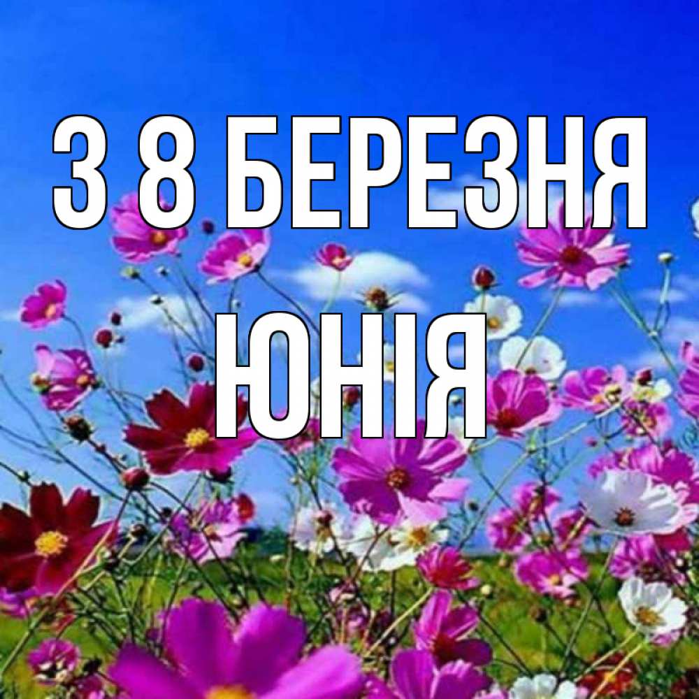 Открытка на каждый день з підписом, Юнія З 8 БЕРЕЗНЯ цветы Прикольна листівка з побажанням онлайн скачати безкоштовно 