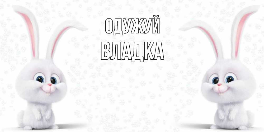 Открытка на каждый день з підписом, Владка Одужуй не болей с зайцем Прикольна листівка з побажанням онлайн скачати безкоштовно 