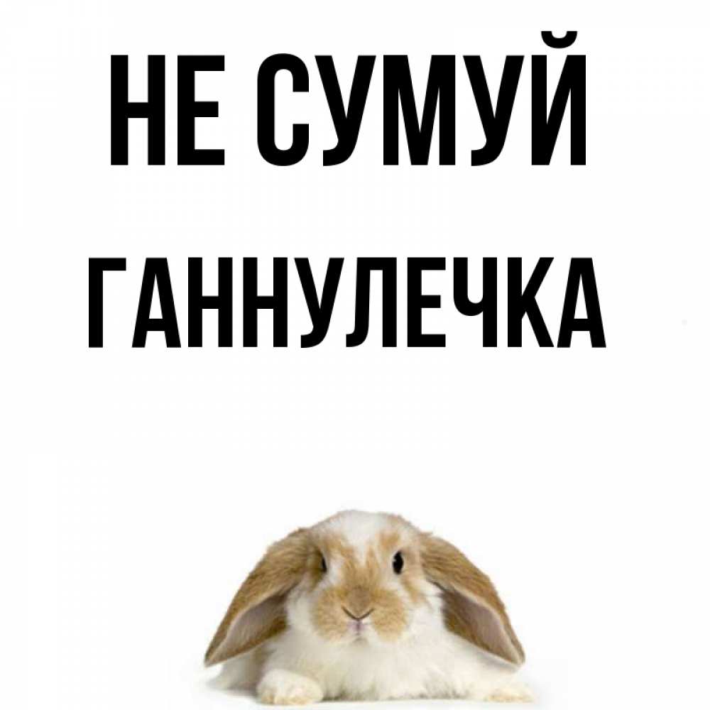 Открытка на каждый день з підписом, Ганнулечка Не сумуй коричнево белый заяц с большими ушками Прикольна листівка з побажанням онлайн скачати безкоштовно 