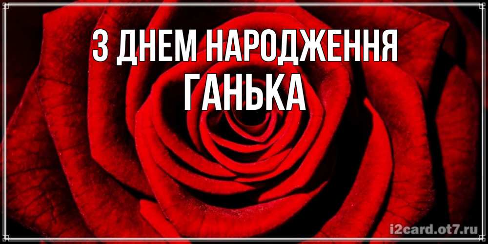 Открытка на каждый день з підписом, Ганька З Днем народження алая роза Прикольна листівка з побажанням онлайн скачати безкоштовно 