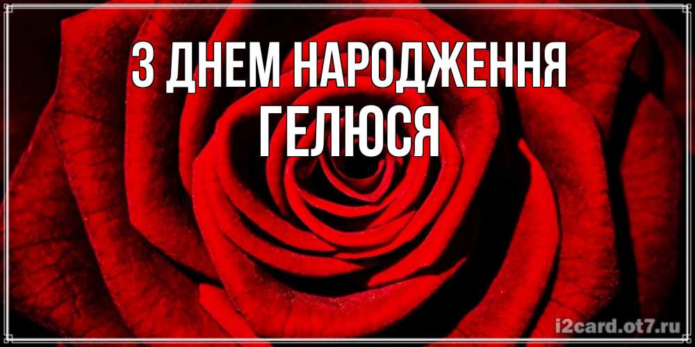Открытка на каждый день з підписом, Гелюся З Днем народження алая роза Прикольна листівка з побажанням онлайн скачати безкоштовно 