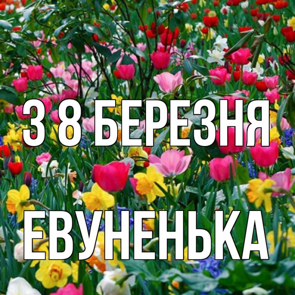 Открытка на каждый день з підписом, Евуненька З 8 БЕРЕЗНЯ с международным женским днем поздравления для женщины Прикольна листівка з побажанням онлайн скачати безкоштовно 