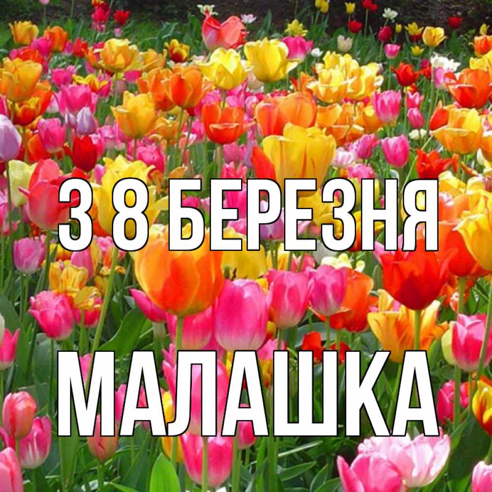 Открытка на каждый день з підписом, Малашка З 8 БЕРЕЗНЯ на международный женский день Прикольна листівка з побажанням онлайн скачати безкоштовно 