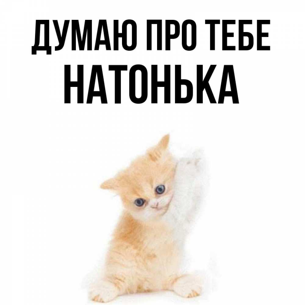 Открытка на каждый день з підписом, Натонька Думаю про тебе зверушки и милота Прикольна листівка з побажанням онлайн скачати безкоштовно 