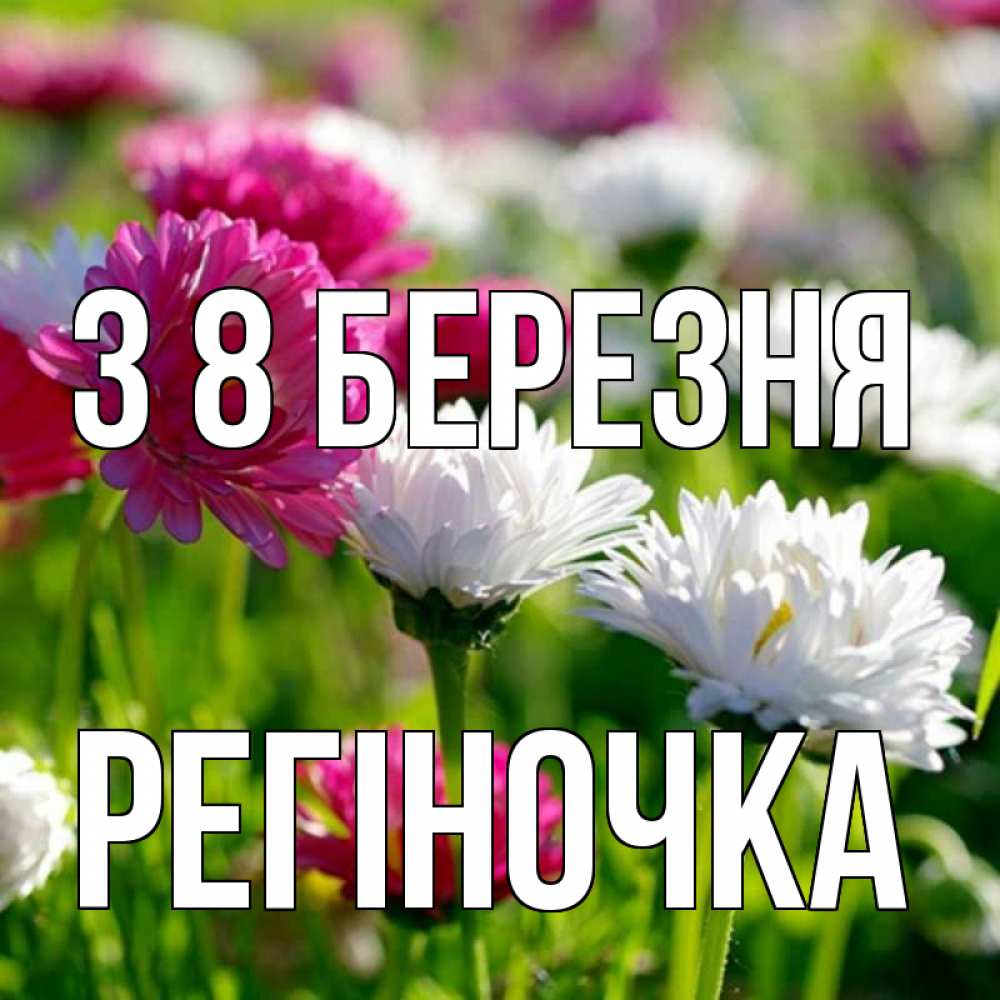 Открытка на каждый день з підписом, Регіночка З 8 БЕРЕЗНЯ международный женский день 1 Прикольна листівка з побажанням онлайн скачати безкоштовно 